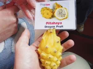 Pitahaya (Dragon Fruit)