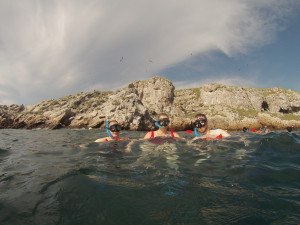Snorkeling in warm waters